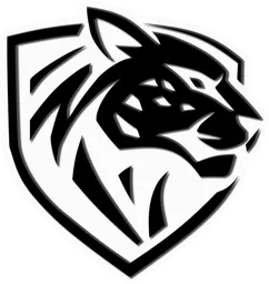 Ilbirs eSports